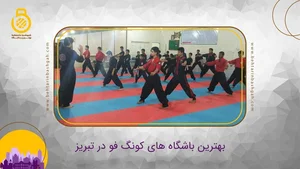 آکادمی دفاع شخصی ایران