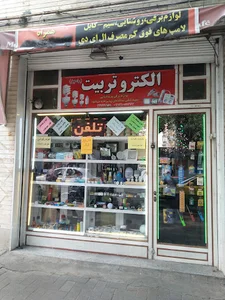 الکترو تربیت