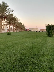 Eid prayer Btabrgel