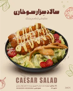Duck FastFood 2