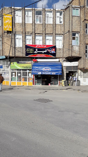 ارزانسرای ضیائی.