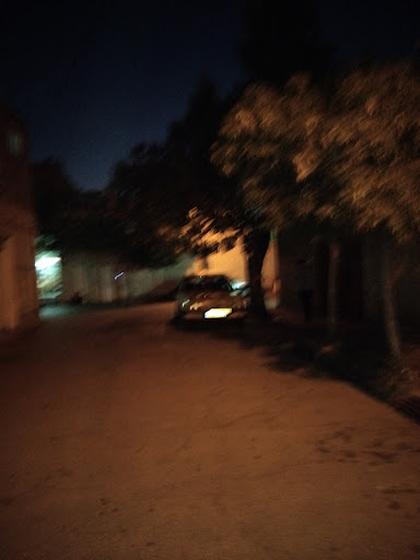 Alley Pouya