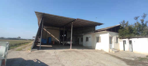 کارخانه شالیکوبی اوجی آبادی