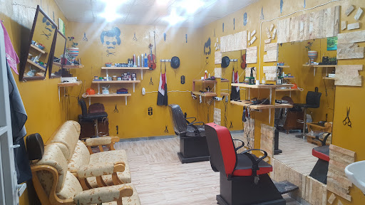 پیرایش رضا