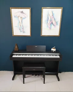Rohab Private Music Schools