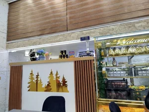 آبمیوه بستنی ارک 4