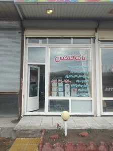 نانوفلکس