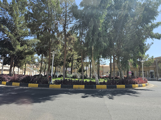 مرکز جوانان هلال احمر