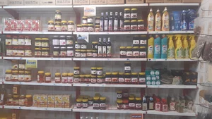 گیاهان دارویی اسلام وسلامت