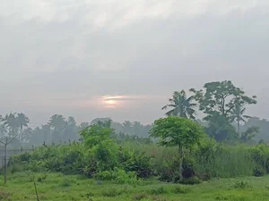 Vennala