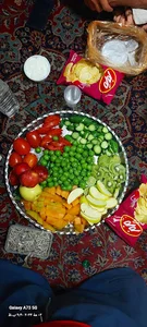 بارفروشی زامان خدایی پریخانی