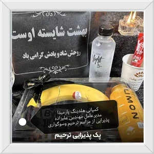 کمپانی هلدینگ پارمیدا 5