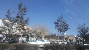 مجتمع تجاری میلاد