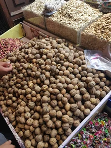 محصولات شمال زیتون و ترشیجات