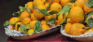 هایپر میوه همایون 2