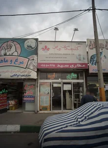 عطاری سید 2