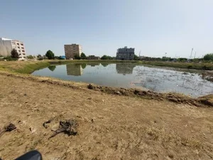 بوستان 2