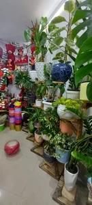 گلفروشی ترگل 2