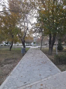 بوستان جوان