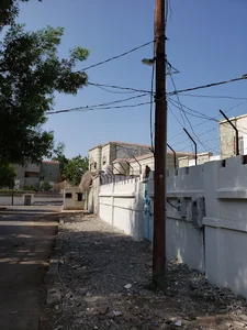 جامع علي بن ابي طالب