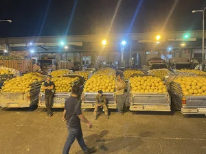 بارفروشی مرتضی حیدری