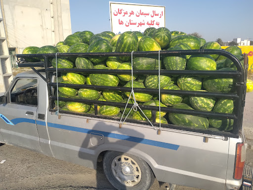 میوه فروشی نبی عظیمی