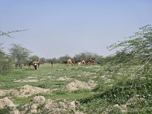 روستا نانگ