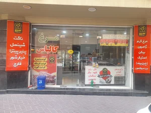 پروتئین سرو