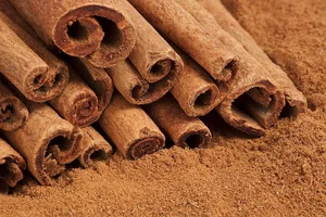 پخش مواد غذایی قادری