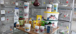 پرنده سرای هدهدبهشتی