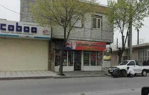فراورده لبنی معصومی 3