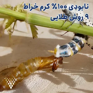 صنایع چوبی و دکوراسیون داخلی طرح نو