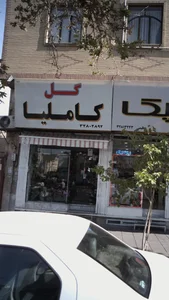 گل فروشی کاملیا