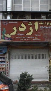 اژدر