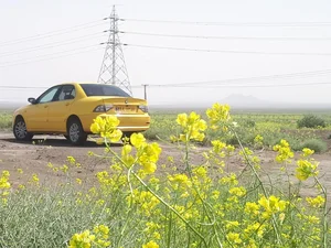تاکسی برون شهری