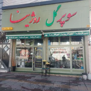 سوپر گل روژینا