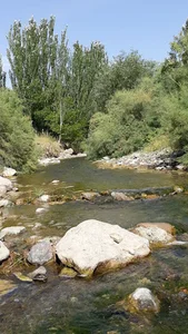 روستای صنوبر