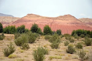 شرکت کشت وصنعت کوهسارسمنان