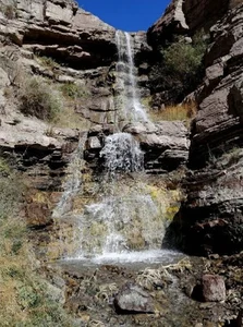 آژنس طهران تاکسی شبانه روزی