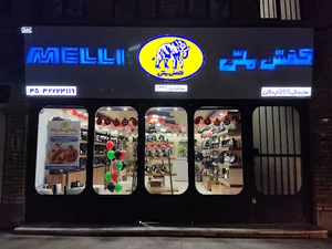 کیف و کفش صدرا