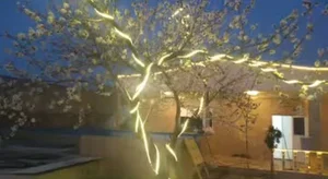 باغ تالار اسما 2