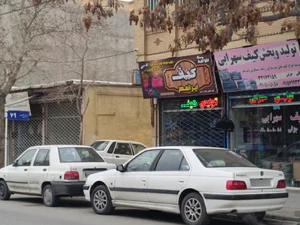 کفش غزال 2