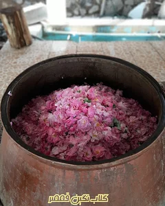 باغ گلاب نگین قمصر