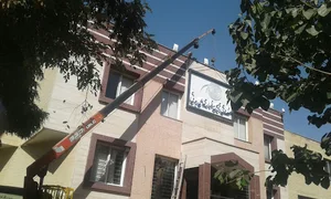 جرثقیل خرسند