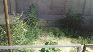 باغ هدی