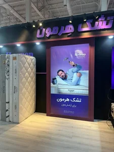 تشک هرمون 2