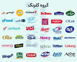 گروه شركت هاي ماندگار