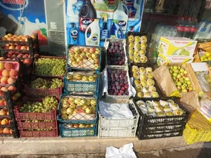 میوه فروشی چهار فصل 2