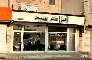 املاک سید شامی