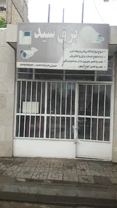 برق سید